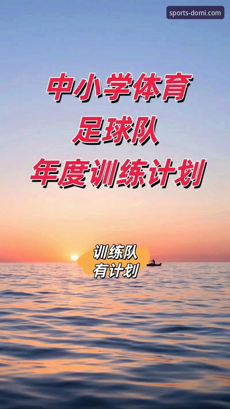 多米体育平台使用评测与常见问题解决教程